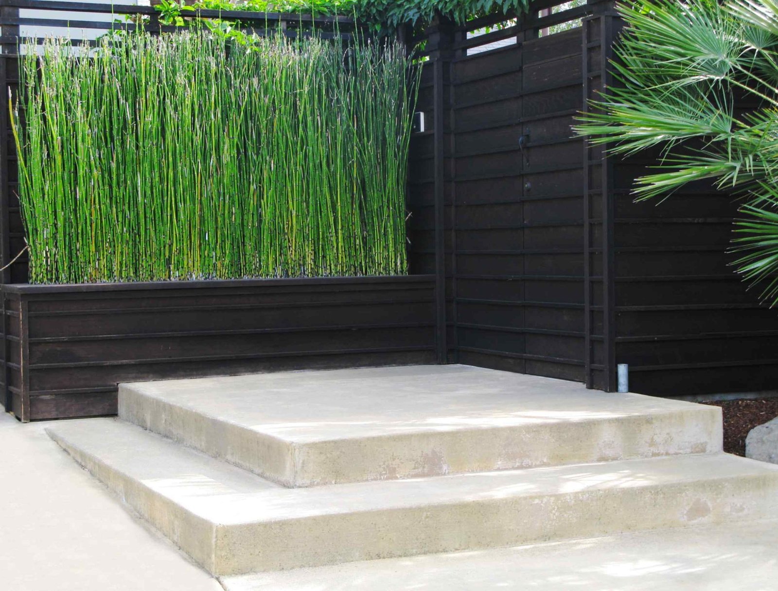 decorative concrete patio designed and installed by AZ Desert Concrete